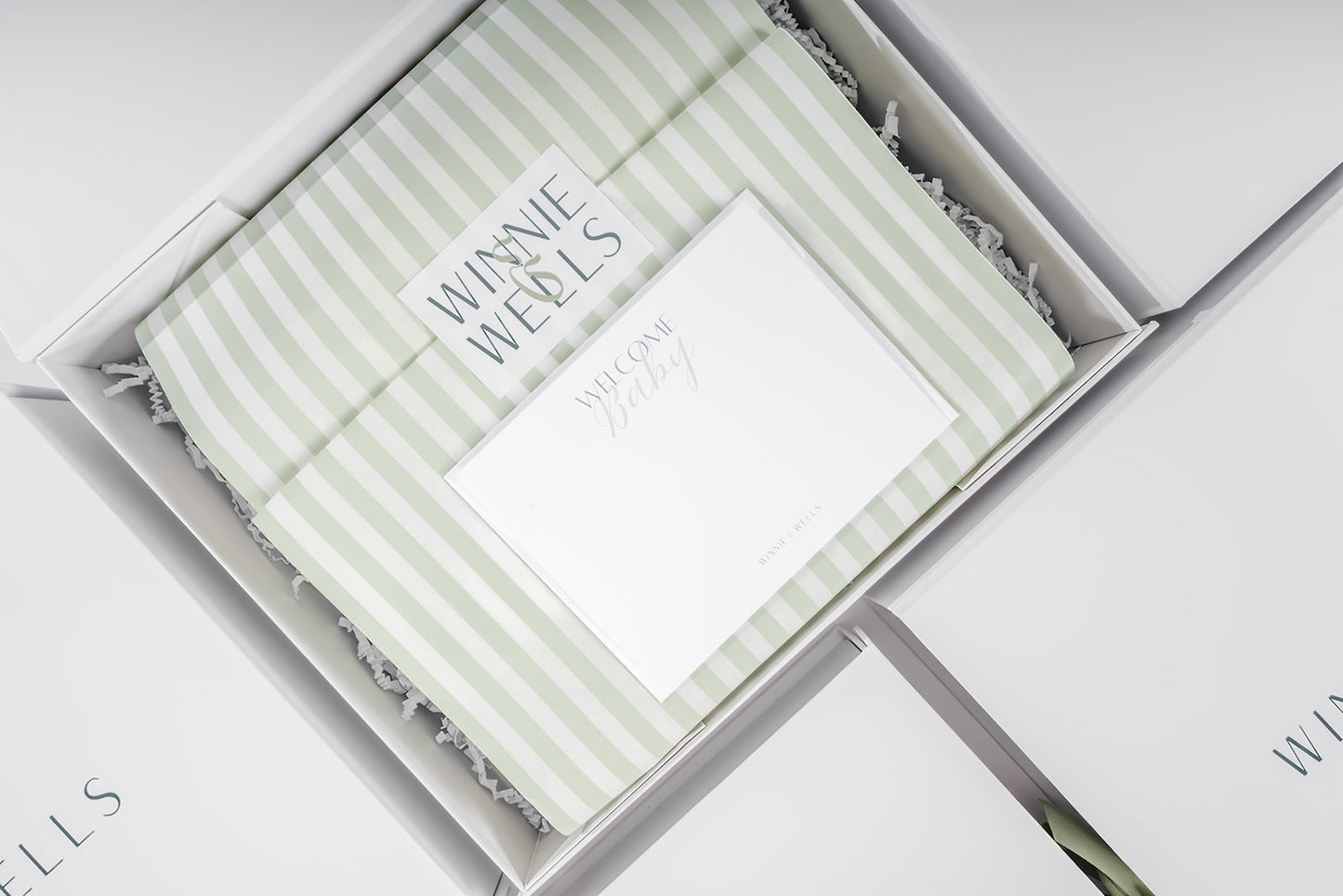 decorative image of open gift box with green and white striped tissue paper, Winnie & Wells sticker, and blank note card